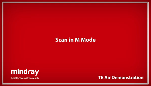 Mindray TE Air Tutorial - Scan in M Mode